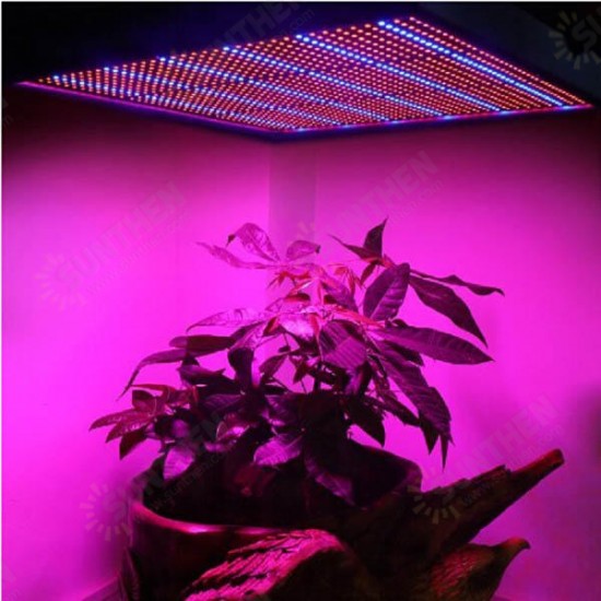 100W 1131Red 234Blue LED Grow Light Plant Growing Lamp Garden Greenhouse Plant Seedling Light