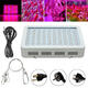 100W Full Spectrum 100 LED Grow Light Lamp for Plants Hydroponic Indoor Flower