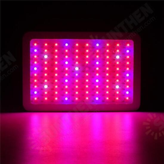 100W Full Spectrum 100 LED Grow Light Lamp for Plants Hydroponic Indoor Flower