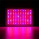 100W Full Spectrum 100 LED Grow Light Lamp for Plants Hydroponic Indoor Flower