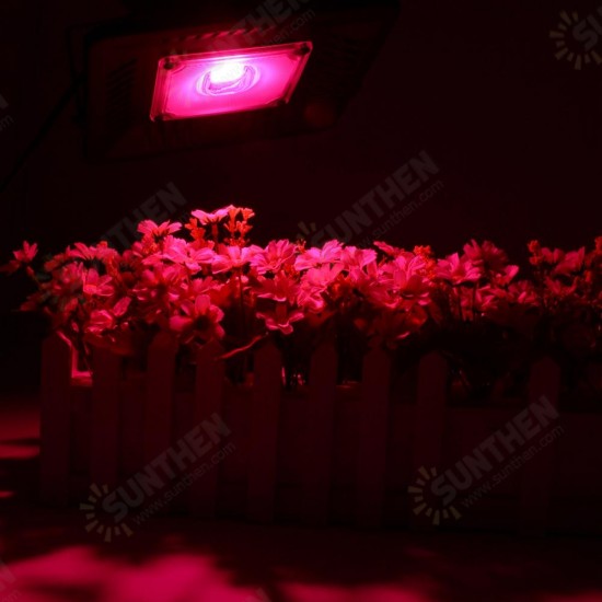 100W Full Spectrum COB LED Grow Flood Light Waterproof Plant Veg Flower Hydroponic Lamp AC90-264V