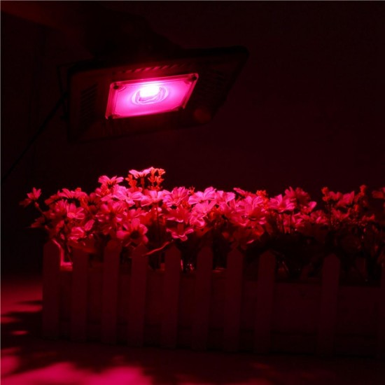 100W Full Spectrum COB LED Grow Flood Light Waterproof Plant Veg Flower Hydroponic Lamp AC90-264V