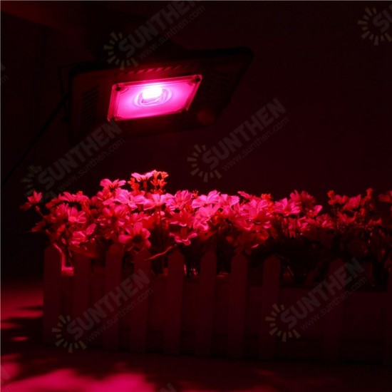 100W Full Spectrum COB LED Grow Flood Light Waterproof Plant Veg Flower Hydroponic Lamp AC90-264V