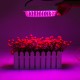 100W LED Greenhouse Garden Hydroponic Plant Grow Light Full Spectrum Growing Plant Grow Light Panel