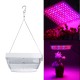 100W LED Greenhouse Garden Hydroponic Plant Grow Light Full Spectrum Growing Plant Grow Light Panel