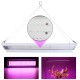 100W LED Grow Light Full Spectrum Hydroponic Indoor Plant Veg Bloom Growth Lamp