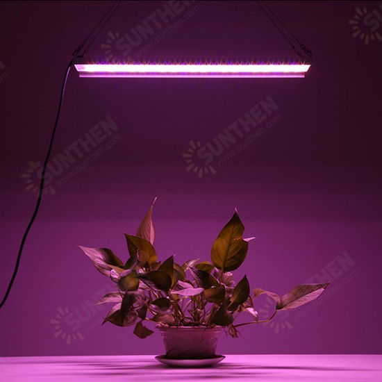 100W LED Grow Light Full Spectrum Hydroponic Indoor Plant Veg Bloom Growth Lamp