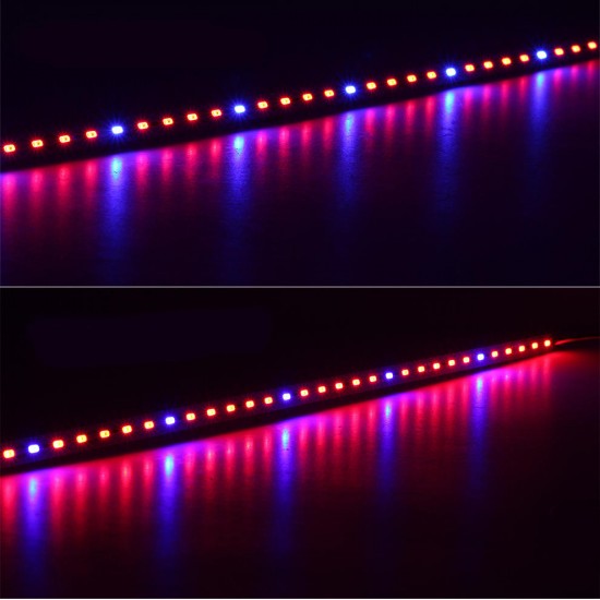 10PCS 50CM SMD5630 Red:Blue 3:1 /4:1 /5:1 LED Grow Rigid Bar Strip for Hydroponics Greenhouse DC12V