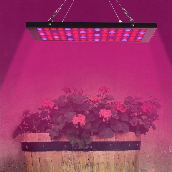 10W 75 LED Aluminum Grow Light for Plant Vegetable Indoor Hydroponic AC85-265V
