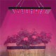 10W 75 LED Aluminum Grow Light for Plant Vegetable Indoor Hydroponic AC85-265V