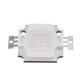 10W Blue Plant Grow Light 9-12V 30MIL Integrated LED Light Chip