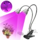 10W Dual Head Full Spectrum LED Grow Light Clip Kit for Indoor Plant Hydroponics US Plug 110-240V