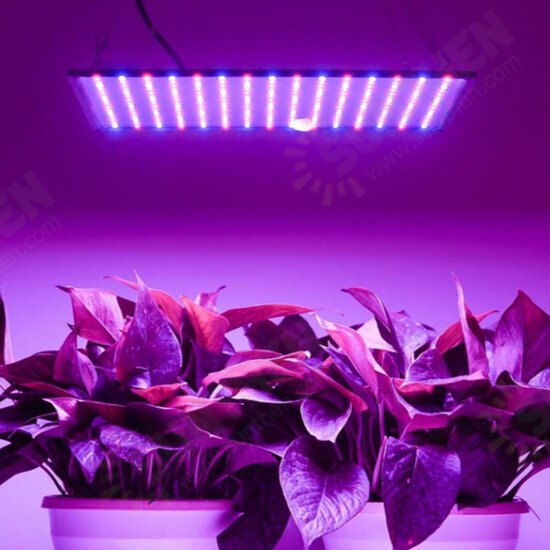 1200W LED Grow Light Bulb Plant Lamp Panel for Indoor Hydroponic Flower Vegetable