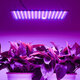 1200W LED Grow Light Bulb Plant Lamp Panel for Indoor Hydroponic Flower Vegetable