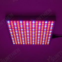 1200W LED Grow Light Waterproof Plant Lamp Chip Phyto Growth Lamp Full Spectrum Plant Lighting for Indoor Plant - US Plug 1200W LED Grow Light Waterproof Plant Lamp Chip Phyto Growth Lamp Full Spectrum Plant Lighting for Indoor Plant - US Plug