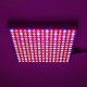1200W LED Grow Light Waterproof Plant Lamp Chip Phyto Growth Lamp Full Spectrum Plant Lighting for Indoor Plant - US Plug