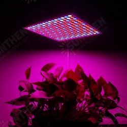 1200W LED Spectrum Grow Light Growing Lamp for Hydroponic Indoor Plant 1200W LED Spectrum Grow Light Growing Lamp for Hydroponic Indoor Plant