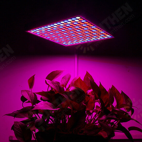 1200W LED Spectrum Grow Light Growing Lamp for Hydroponic Indoor Plant