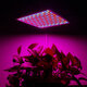 1200W LED Spectrum Grow Light Growing Lamp for Hydroponic Indoor Plant