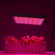 120W LED Grow Light Hydroponic Full Spectrum Indoor Veg Flower Plant Lamp