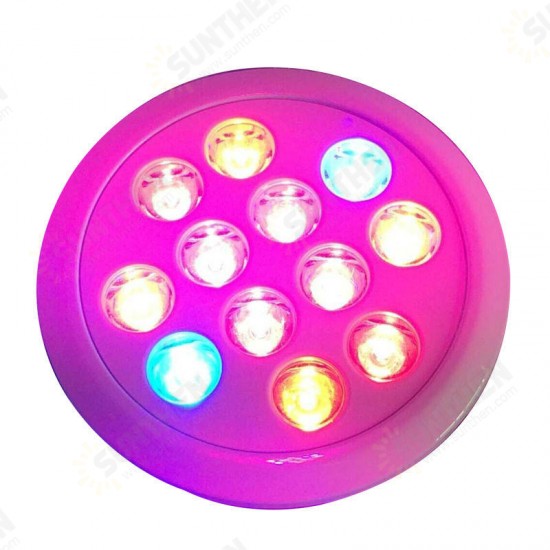 12W 24W 36W Led Grow Light Full Spectrum 12 PCS LED Growth Lamp Ultra Bulb For Plants All Stages