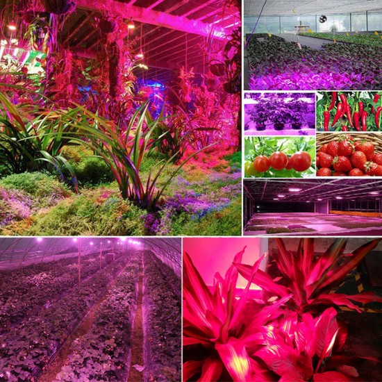 130LED Dimmable Grow Light Full Spectrum Veg Plant Lamp Timing Remote