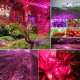 130LED Dimmable Grow Light Full Spectrum Veg Plant Lamp Timing Remote