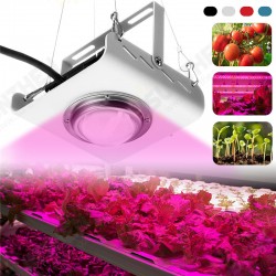 144LED COB Plant Grow Light Full Spectrum 380-800nm 4000K Hydroponic Growth Lamp 144LED COB Plant Grow Light Full Spectrum 380-800nm 4000K Hydroponic Growth Lamp