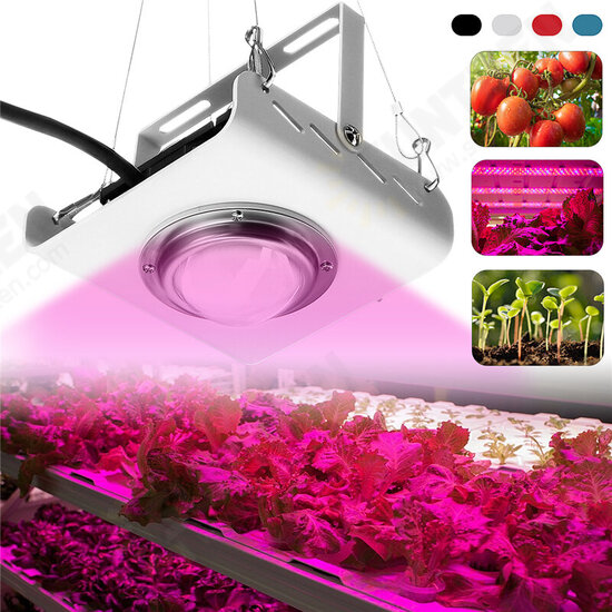 144LED COB Plant Grow Light Full Spectrum 380-800nm 4000K Hydroponic Growth Lamp