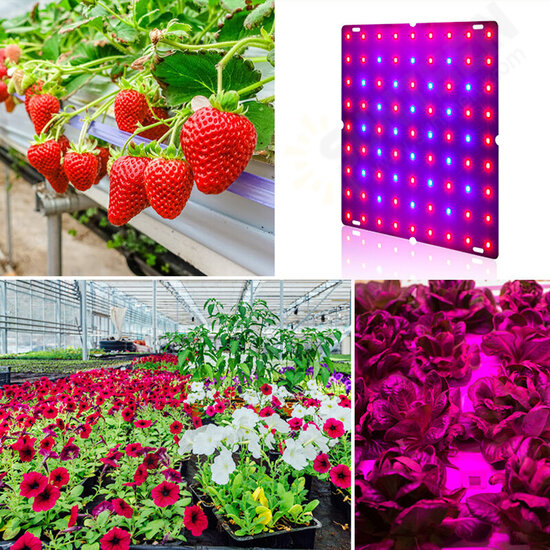 169/81 LED Plant Grow Light Full Spectrum Indoor Veg Flower Hydroponic Lamp 85-265V