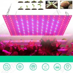 169/81 LED Plant Grow Light Full Spectrum Indoor Veg Flower Hydroponic Lamp 85-265V 169/81 LED Plant Grow Light Full Spectrum Indoor Veg Flower Hydroponic Lamp 85-265V