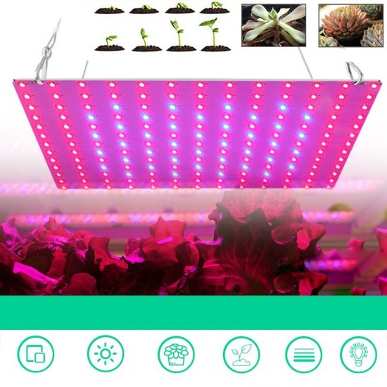 169/81 LED Plant Grow Light Full Spectrum Indoor Veg Flower Hydroponic Lamp 85-265V