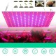 169/81 LED Plant Grow Light Full Spectrum Indoor Veg Flower Hydroponic Lamp 85-265V