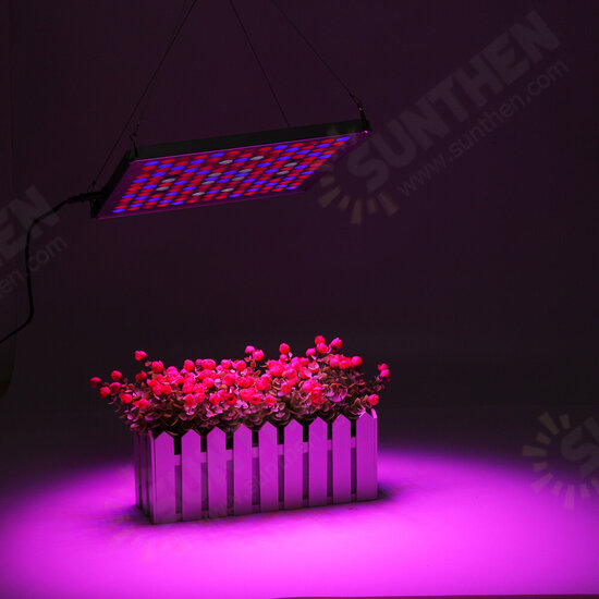 169LED LED Grow Plant Light Full Spectrum Hydroponic Panel Lamp Growing Indoor