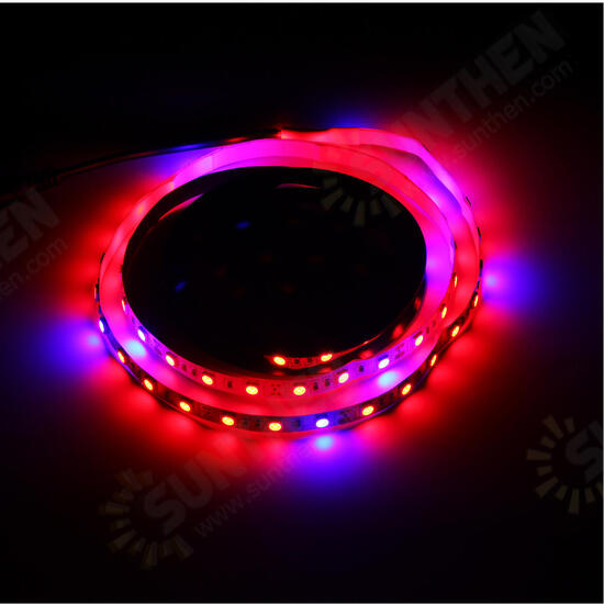 1M SMD5050 Red:Blue 5:1 Full Spectrum LED Grow Strip Light Hydroponic Greenhouse Plant DC12V