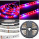 1M/2M/3M/4M/5M SMD5050 Non-Waterproof LED Grow Lights Full Spectrum Plant Strip Lamp DC12V