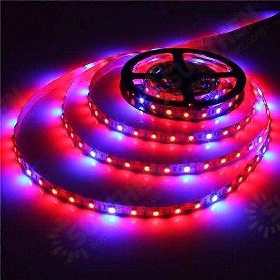 1M/2M/3M/4M/5M SMD5050 Non-Waterproof LED Grow Lights Full Spectrum Plant Strip Lamp DC12V