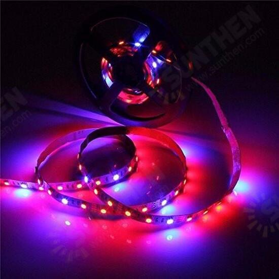 1M/2M/3M/4M/5M SMD5050 Non-Waterproof LED Grow Lights Full Spectrum Plant Strip Lamp DC12V