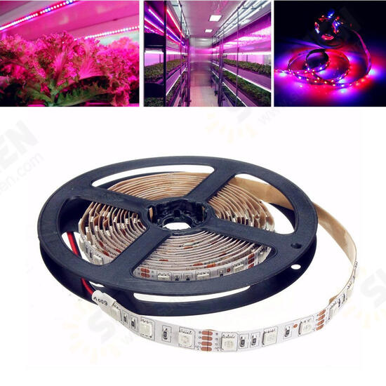 1M/2M/3M/4M/5M SMD5050 Non-Waterproof LED Grow Lights Full Spectrum Plant Strip Lamp DC12V