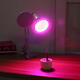 20CM Tube Dual Head Clip Lamp Holder Bulb Adapter with Switch for E27 LED Grow Light