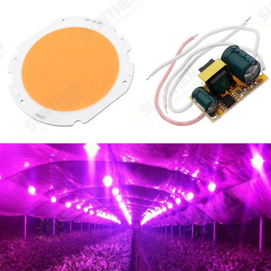 20W LED COB Round Grow Light Chip DIY with AC90-240V Driver Power Supply for Indoor Plant Flower