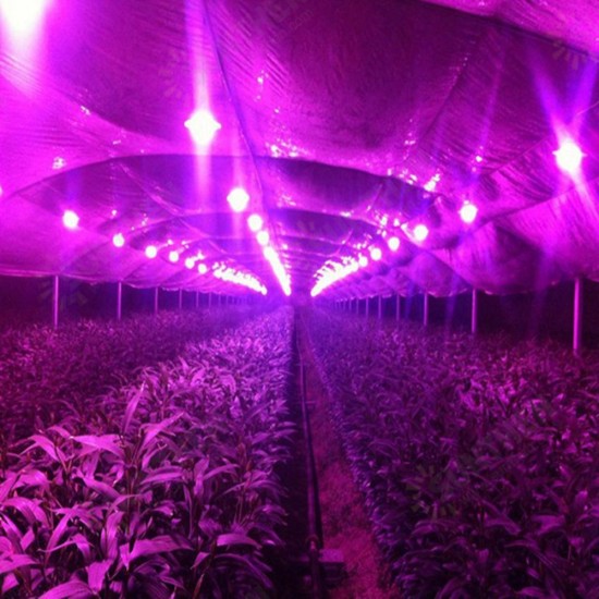 20W LED COB Round Grow Light Chip DIY with AC90-240V Driver Power Supply for Indoor Plant Flower