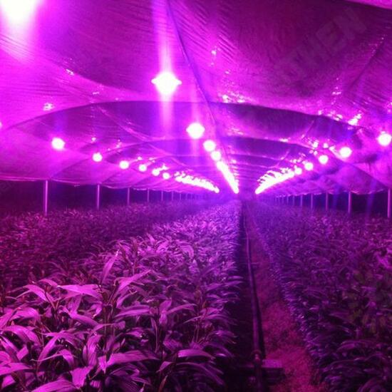 20W LED Full Spectrum Plant Grow Light DIY COB Chip AC220V