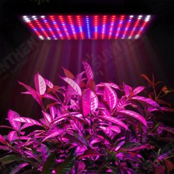 225LED Grow Light Blue & Red & White & Orange Lamp Ultrathin Panel Hydroponics Indoor Plant Veg Flower AC85-265V 225LED Grow Light Blue & Red & White & Orange Lamp Ultrathin Panel Hydroponics Indoor Plant Veg Flower AC85-265V