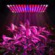 225LED Grow Light Blue & Red & White & Orange Lamp Ultrathin Panel Hydroponics Indoor Plant Veg Flower AC85-265V