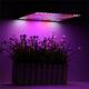 225LED Grow Light Blue & Red & White & Orange Lamp Ultrathin Panel Hydroponics Indoor Plant Veg Flower AC85-265V