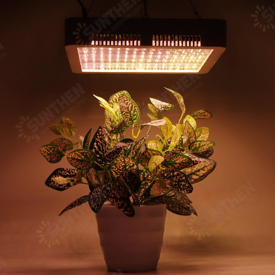 240 LEDs Plant Grow Light Veg Bloom Lamp Indoor Greenhouse Garden Full Spectrum Plant Growth Light