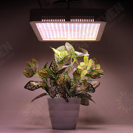 240 LEDs Plant Grow Light Veg Bloom Lamp Indoor Greenhouse Garden Full Spectrum Plant Growth Light