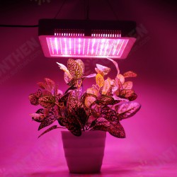 240 LEDs Plant Grow Light Veg Bloom Lamp Indoor Greenhouse Garden Full Spectrum Plant Growth Light 240 LEDs Plant Grow Light Veg Bloom Lamp Indoor Greenhouse Garden Full Spectrum Plant Growth Light