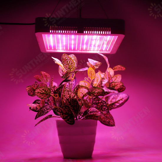 240 LEDs Plant Grow Light Veg Bloom Lamp Indoor Greenhouse Garden Full Spectrum Plant Growth Light